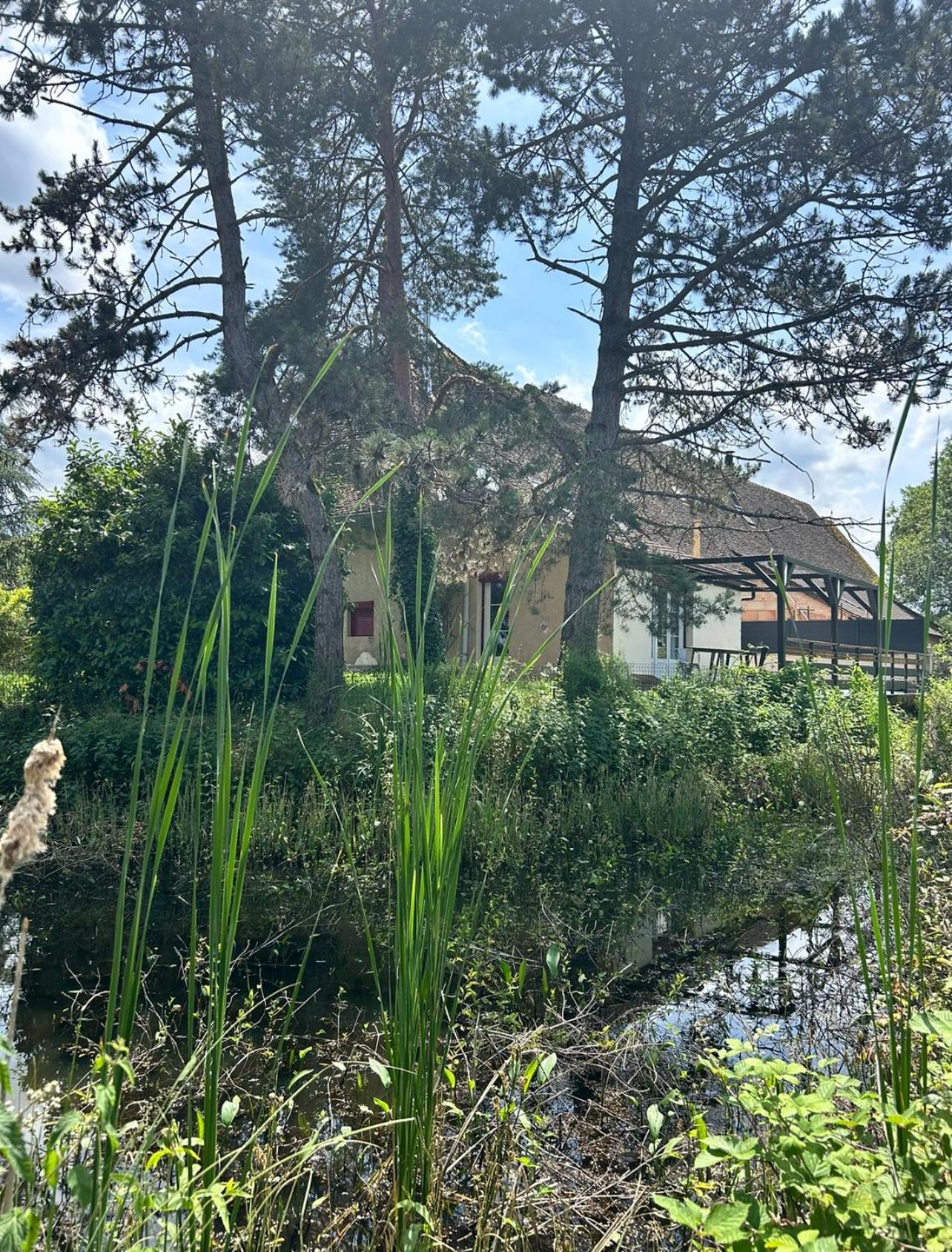 Le Gite Du Chateau Mouton Chatenoy-le-Royal Exterior photo