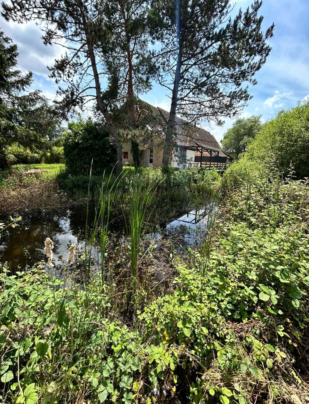 Le Gite Du Chateau Mouton Chatenoy-le-Royal Exterior photo
